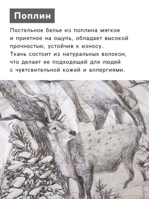 Постельное бельё 2-спальное «Этель. Лесная сказка», поплин — фото 3