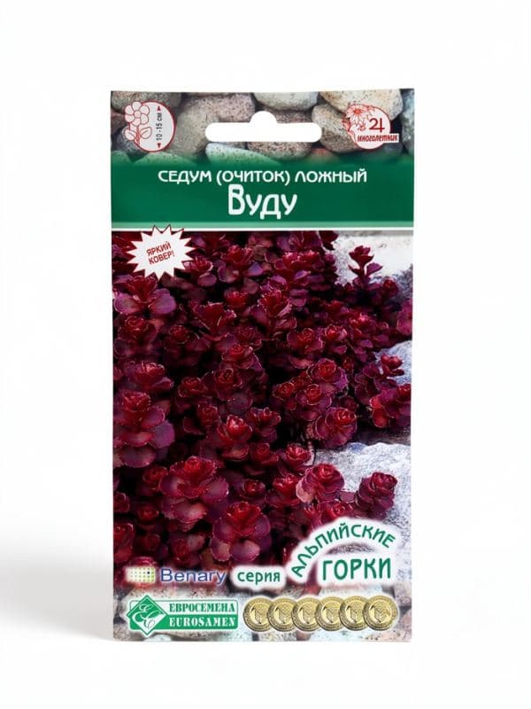 Семена седум очиток «Сложный Вуду», 10 шт. — фото 3