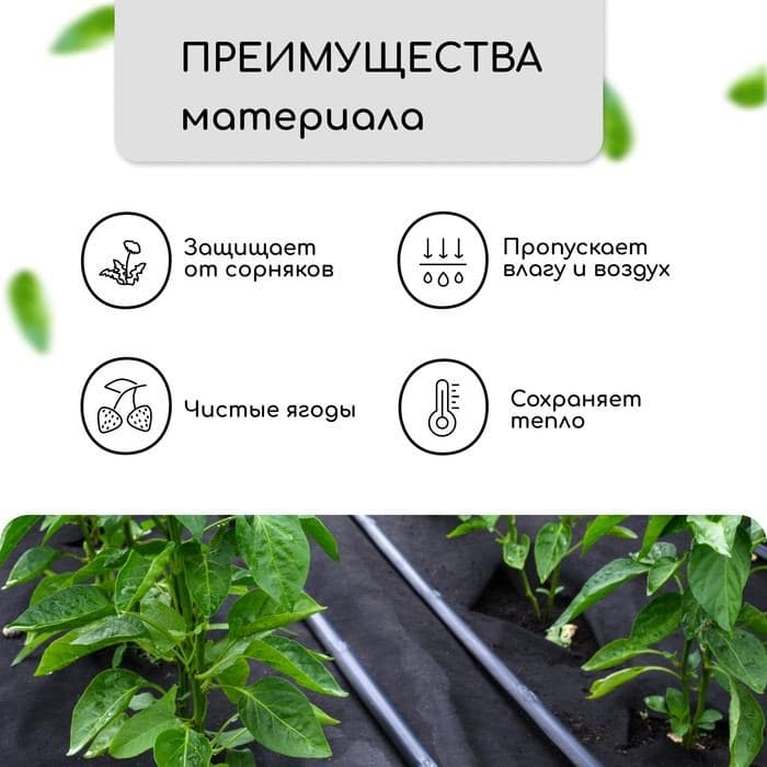 Материал мульчирующий, 10×1.6 м, плотность 80 г/м², спанбонд с УФ-стабилизатором, чёрный, Greengo, Эконом 30% — фото 3