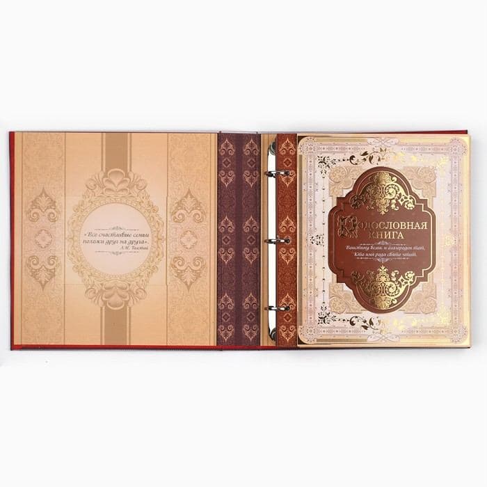 Родословная книга с рамкой под фото «Семейная книга», 50 листов, 21.5×23.7 см — фото 4
