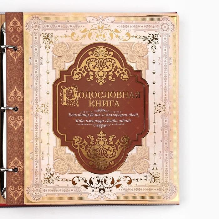 Родословная книга с рамкой под фото «Семейная книга», 50 листов, 21.5×23.7 см — фото 5
