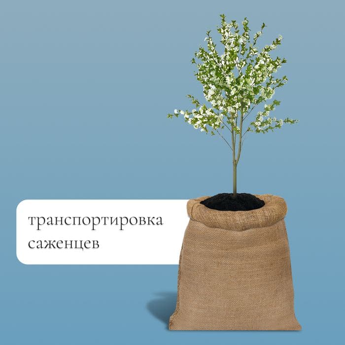 Мешок джутовый, 40×60 см, плотность 45×45 нитей, без завязок, Greengo — фото 3