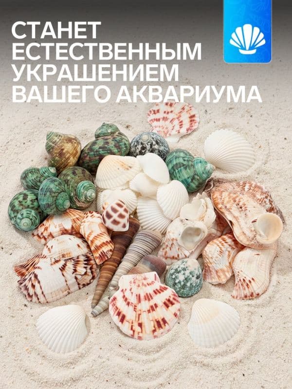 Набор ракушек «Пижон Аква», 200 г, микс №1 — фото 2