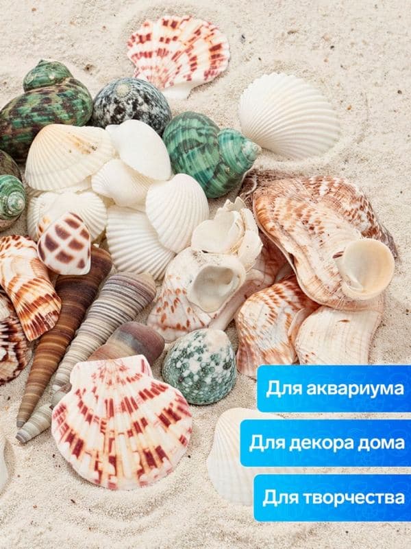Набор ракушек «Пижон Аква», 200 г, микс №1 — фото 3