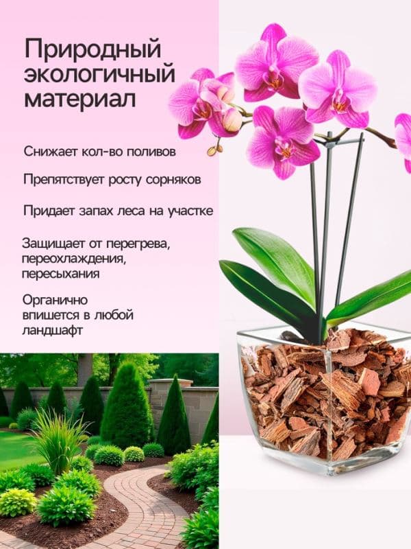 Кора сосны «Рецепты Дедушки Никиты» 1.5 л фр 1-3 — фото 3