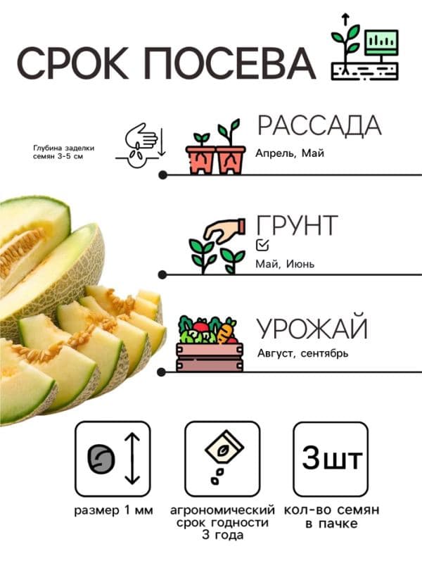 Семена Дыня «Раймонд» F1, 3 шт., «Престиж семена» — фото 2