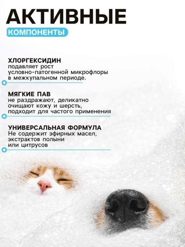 Шампунь - кондиционер для собак и кошек, 250 мл, гипоаллергенный, с хлоргексидином — фото 2