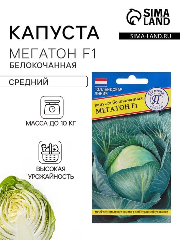 Семена Капуста белокочанная «Мегатон», F1, 10 шт., «Престиж семена» — фото 1