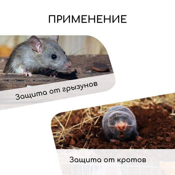 Сетка оцинкованная, сварная, 10×1 м, ячейка 12.5×12.5 мм, d=1 мм, Greengo — фото 3