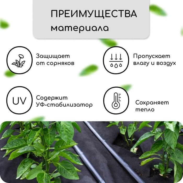 Материал мульчирующий, с перфорацией, 10×1.6 м, плотность 80 г/м², спанбонд с УФ-стабилизатором, чёрный, Greengo, Эконом 30% — фото 2