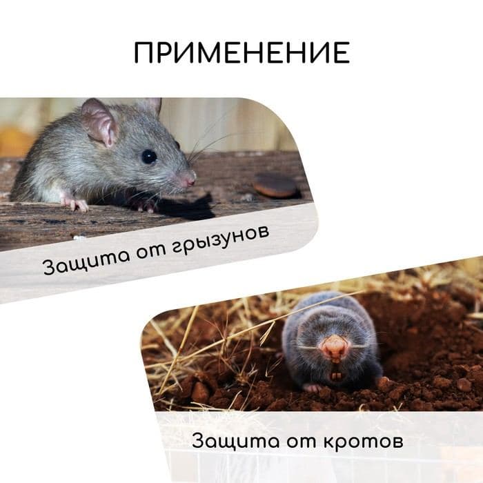 Сетка оцинкованная, сварная, 10×1 м, ячейка 20×20 мм, d=0.7 мм, Greengo — фото 3