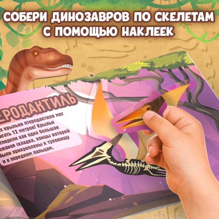Книжка с наклейками «Динозавры. Чей это скелет?» — фото 5