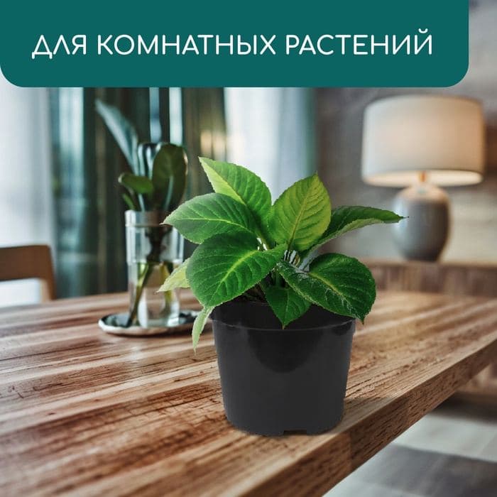 Горшок для рассады, 10 л, d=29 см, h=22.5 см, чёрный, Greengo — фото 4