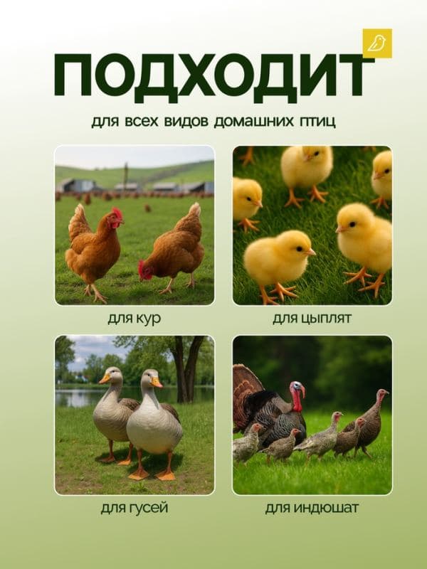Кормушка для домашней птицы на 1.5 кг, пластик, Greengo — фото 4