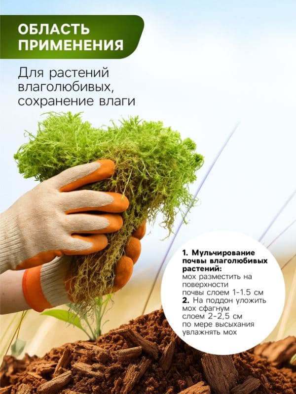 Мох сфагнум для террариумов «Рецепты дедушки Никиты» 1 л — фото 4