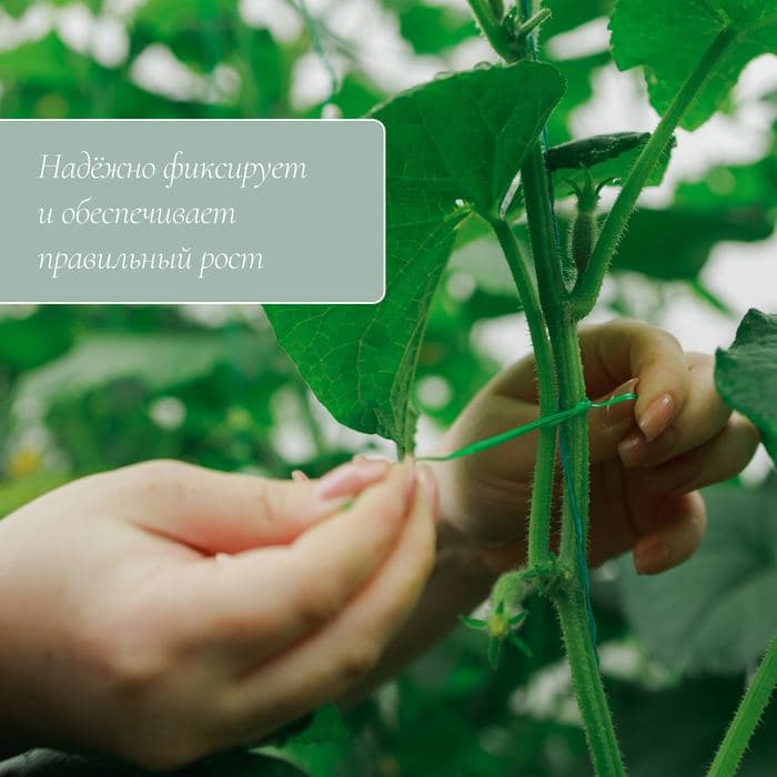 Проволока подвязочная, зелёная, Greengo — фото 3