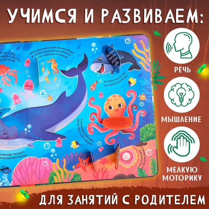 Книга с окошками «Мир животных», 50 окошек — фото 4
