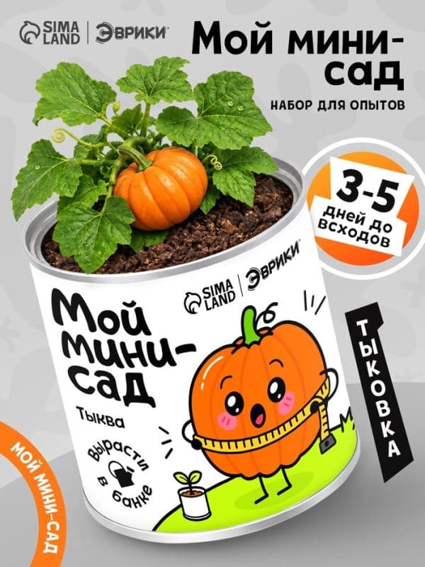 Набор для опытов «Мой мини-сад», тыква — фото 1