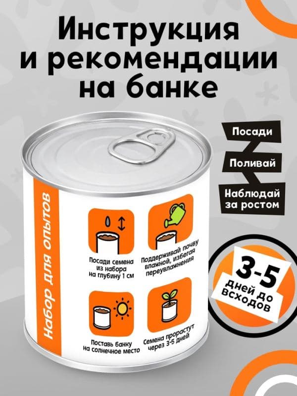 Набор для опытов «Мой мини-сад», тыква — фото 3