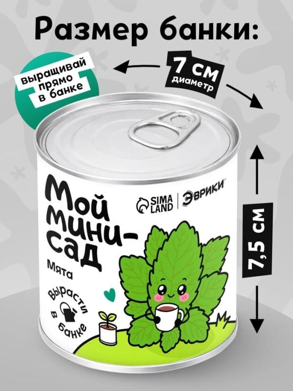 Набор для опытов «Мой мини-сад», мята — фото 2