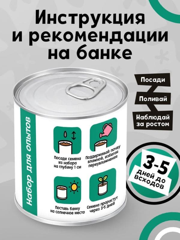 Набор для опытов «Мой мини-сад», мята — фото 3