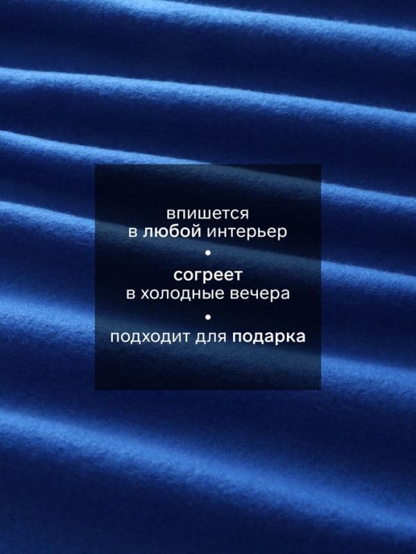 Плед флисовый «Экономь и Я», 160 г/м², синий — фото 2