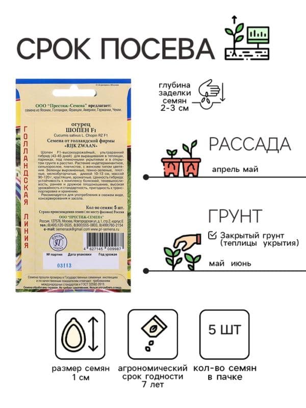 Семена Огурец «Шопен», F1.5 шт., «Престиж семена» — фото 2