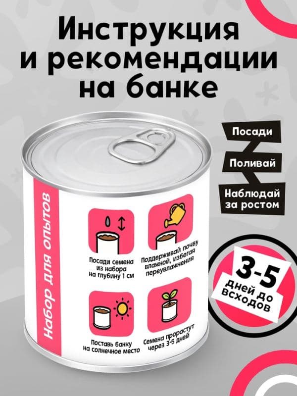 Набор для опытов «Мой мини-сад», клубника — фото 3