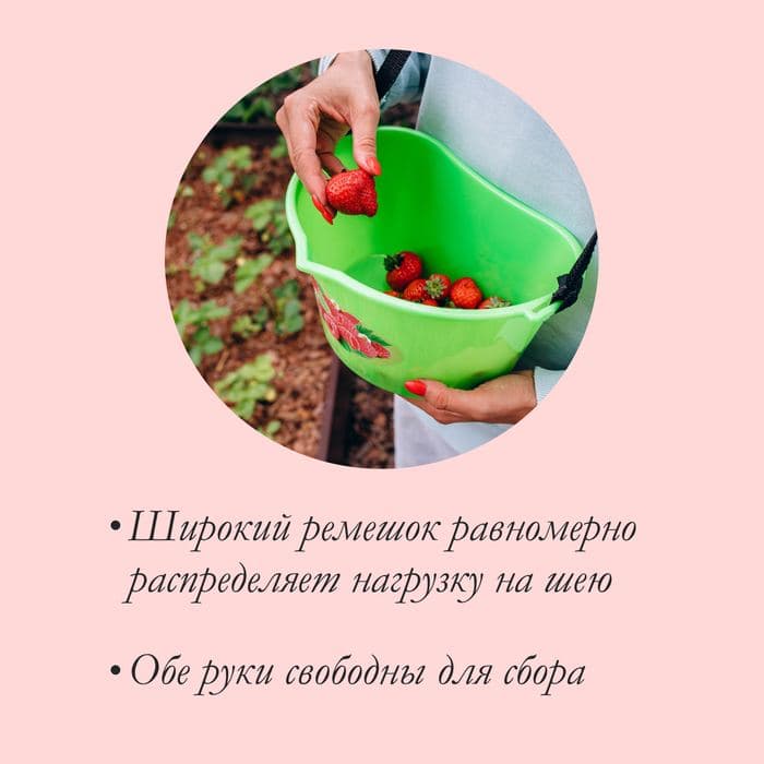 Ёмкость для сбора ягод, 3 л, «Малина» — фото 3