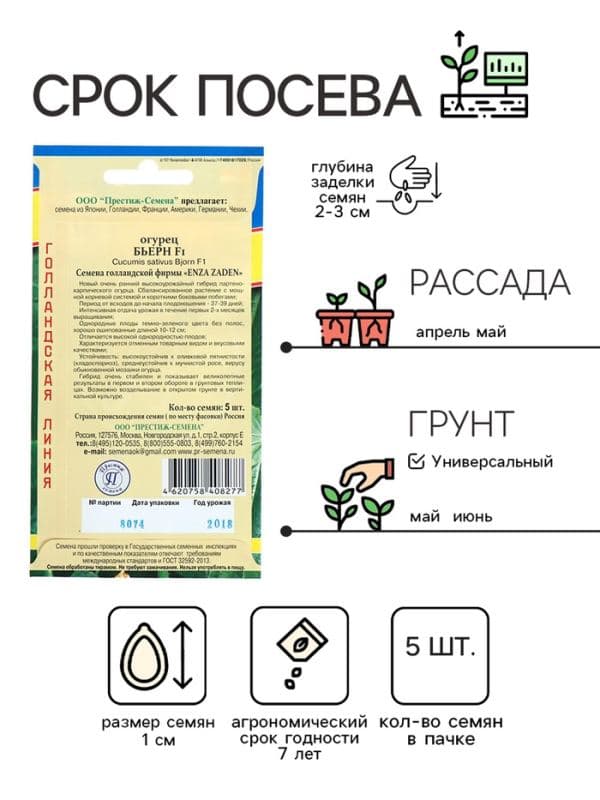 Семена Огурец «Бьерн», F1, 5 шт., «Престиж семена» — фото 2