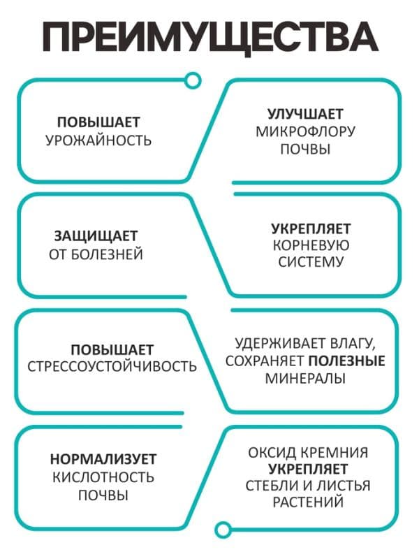 Диатомит «Рецепты Дедушки Никиты» сушеный, фр 2-4, 1 л — фото 3