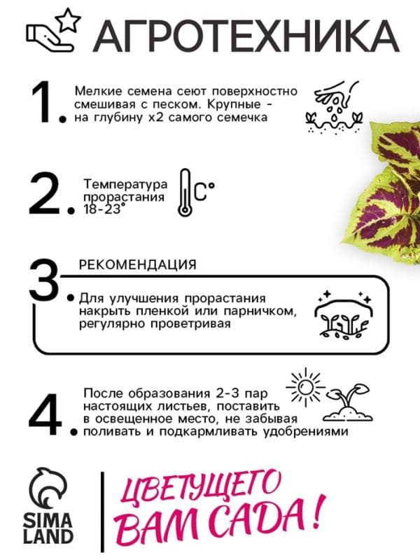 Семена цветов Колеус «Мозаика», F1, «Фейерверк», однолетник, 10 шт. — фото 4