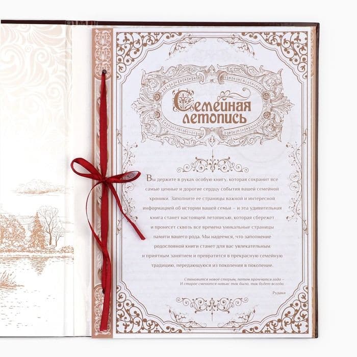 Родословная книга «Древо», 50 листов, 30.5×22.5 см — фото 4