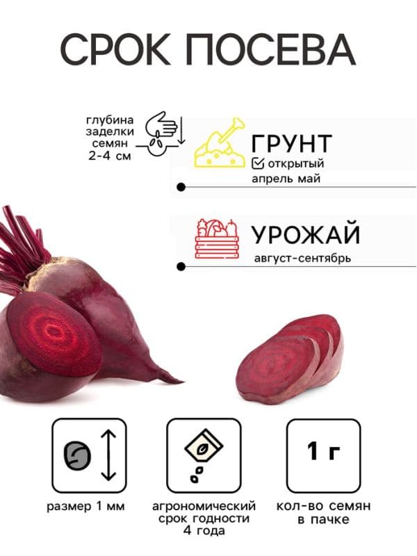 Семена Свекла столовая «Родена», F1, 1 г, «Престиж семена» — фото 2