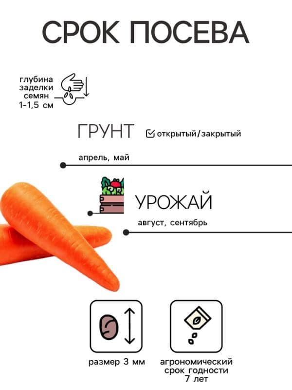 Семена на ленте Морковь «Балтимор», F1, 6 м, «Престиж семена» — фото 2