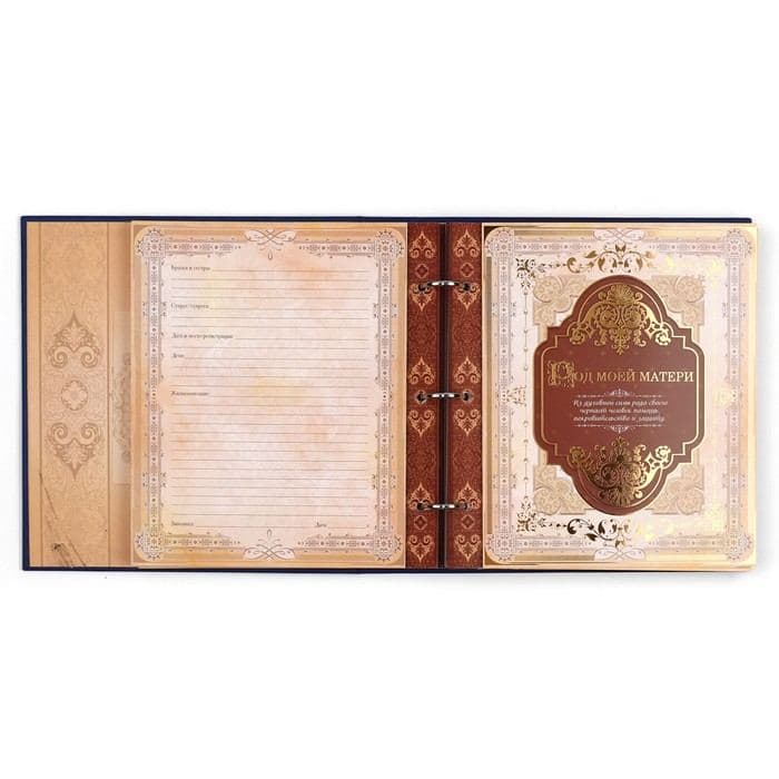 Родословная книга с рамкой под фото «Родословная книга», 50 листов, 21.5×23.7 см — фото 2
