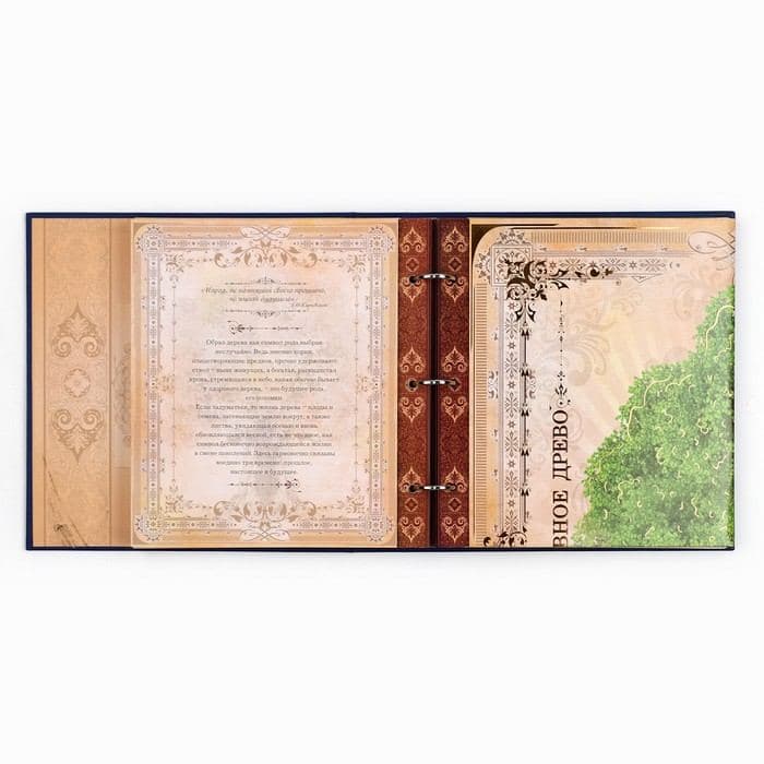 Родословная книга с рамкой под фото «Родословная книга», 50 листов, 21.5×23.7 см — фото 3