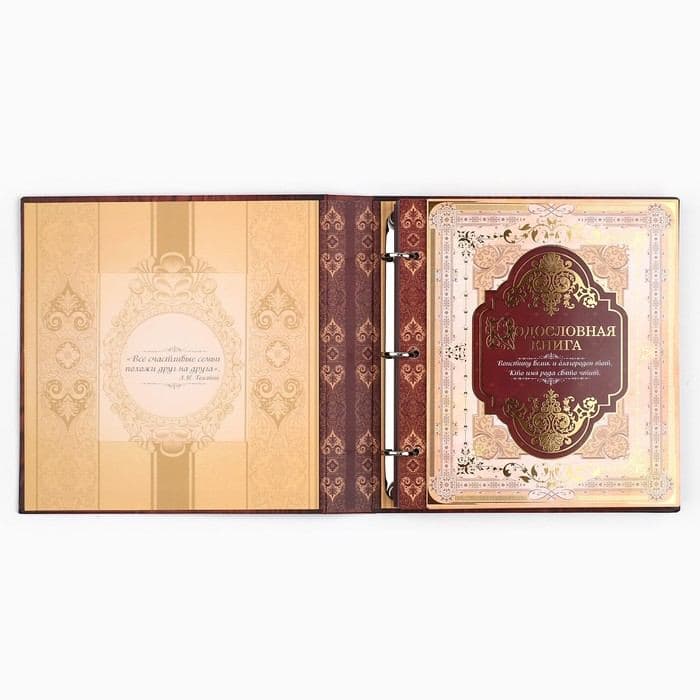 Родословная книга с рамкой под фото «Родословная книга», 50 листов, 21.5×23.7 см — фото 5