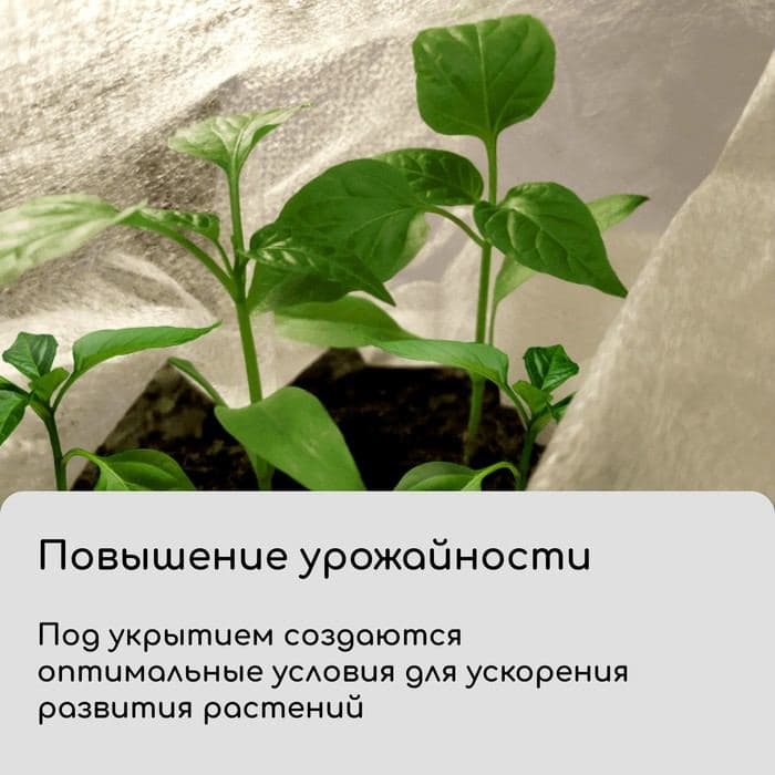 Материал укрывной, 5×1.6 м, плотность 42 г/м², спанбонд с УФ-стабилизатором, белый, Greengo, Эконом 30% — фото 4