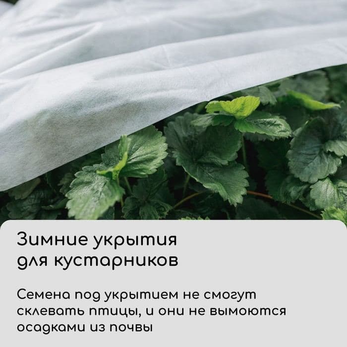 Материал укрывной, 5×1.6 м, плотность 42 г/м², спанбонд с УФ-стабилизатором, белый, Greengo, Эконом 30% — фото 3