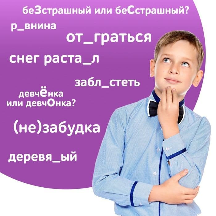 Книга обучающая «Тренажёр по русскому языку», 5-6 класс, раздаточный материал, ФГОС — фото 3