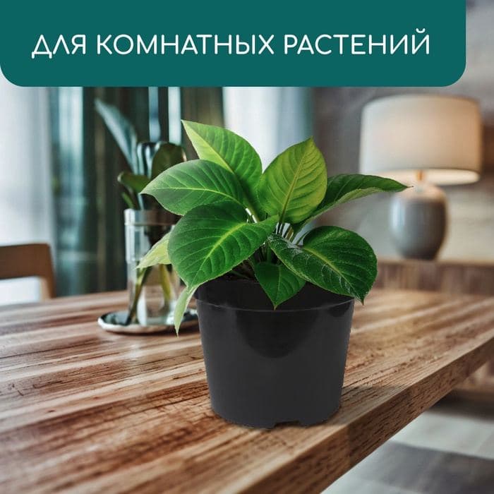 Горшок для рассады, 15 л, d=33.5 см, h=22 см, чёрный, Greengo — фото 4