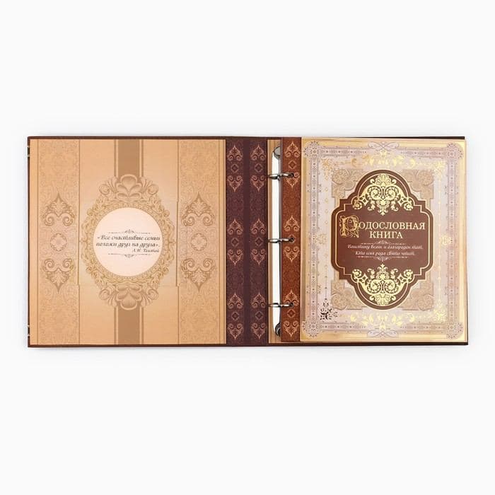 Родословная книга с рамкой под фото «Семейная летопись», 50 листов, 21.5×23.7 см — фото 3