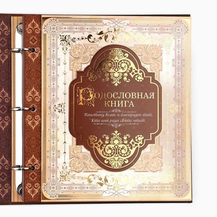 Родословная книга с рамкой под фото «Семейная летопись», 50 листов, 21.5×23.7 см — фото 4