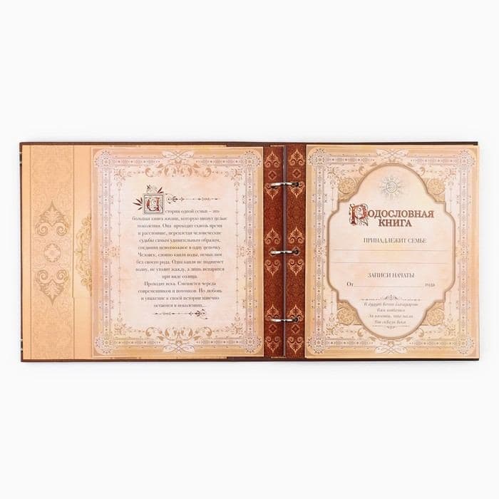 Родословная книга с рамкой под фото «Семейная летопись», 50 листов, 21.5×23.7 см — фото 5
